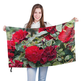 Флаг 3D с принтом Red Roses в Петрозаводске, 100% полиэстер | плотность ткани — 95 г/м2, размер — 67 х 109 см. Принт наносится с одной стороны | bush | floral | flower | garden | green | nature | red roses | бутоны | красная роза | куст | листья | природа | роза | сад | цветение | цветок | цветы