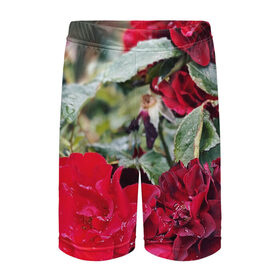 Детские спортивные шорты 3D с принтом Red Roses в Петрозаводске,  100% полиэстер
 | пояс оформлен широкой мягкой резинкой, ткань тянется
 | bush | floral | flower | garden | green | nature | red roses | бутоны | красная роза | куст | листья | природа | роза | сад | цветение | цветок | цветы