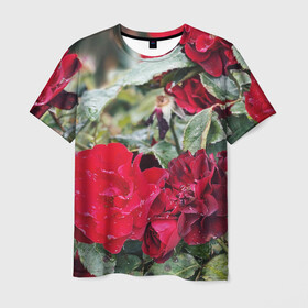 Мужская футболка 3D с принтом Red Roses в Петрозаводске, 100% полиэфир | прямой крой, круглый вырез горловины, длина до линии бедер | bush | floral | flower | garden | green | nature | red roses | бутоны | красная роза | куст | листья | природа | роза | сад | цветение | цветок | цветы