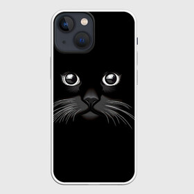 Чехол для iPhone 13 mini с принтом Кошачья моська в Петрозаводске,  |  | арт | вектор | кот | котёнок | кошка | рисунок | черная кошка | чёрный | черный кот | черный котенок