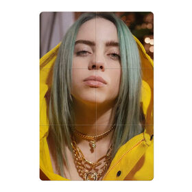 Магнитный плакат 2Х3 с принтом Билли Айлиш / Billie Eilish в Петрозаводске, Полимерный материал с магнитным слоем | 6 деталей размером 9*9 см | billie | billie eilish | eilish | айлиш | билли | билли айлиш