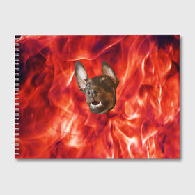 Альбом для рисования с принтом Огненый Пес в Петрозаводске, 100% бумага
 | матовая бумага, плотность 200 мг. | голова | горячий | горящий | доберман | животное | зверек | зверь | зубы | клык | красный | лицо | овчарка | огонь | пес | пламя | рот | ротвейлер | свет | собака | удивленный | улыбка | щенок