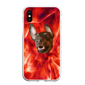 Чехол для iPhone XS Max матовый с принтом Огненый Пес в Петрозаводске, Силикон | Область печати: задняя сторона чехла, без боковых панелей | голова | горячий | горящий | доберман | животное | зверек | зверь | зубы | клык | красный | лицо | овчарка | огонь | пес | пламя | рот | ротвейлер | свет | собака | удивленный | улыбка | щенок