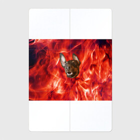 Магнитный плакат 2Х3 с принтом Огненый Пес в Петрозаводске, Полимерный материал с магнитным слоем | 6 деталей размером 9*9 см | голова | горячий | горящий | доберман | животное | зверек | зверь | зубы | клык | красный | лицо | овчарка | огонь | пес | пламя | рот | ротвейлер | свет | собака | удивленный | улыбка | щенок