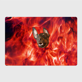 Магнитный плакат 3Х2 с принтом Огненый Пес в Петрозаводске, Полимерный материал с магнитным слоем | 6 деталей размером 9*9 см | голова | горячий | горящий | доберман | животное | зверек | зверь | зубы | клык | красный | лицо | овчарка | огонь | пес | пламя | рот | ротвейлер | свет | собака | удивленный | улыбка | щенок