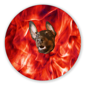 Коврик для мышки круглый с принтом Огненый Пес в Петрозаводске, резина и полиэстер | круглая форма, изображение наносится на всю лицевую часть | голова | горячий | горящий | доберман | животное | зверек | зверь | зубы | клык | красный | лицо | овчарка | огонь | пес | пламя | рот | ротвейлер | свет | собака | удивленный | улыбка | щенок