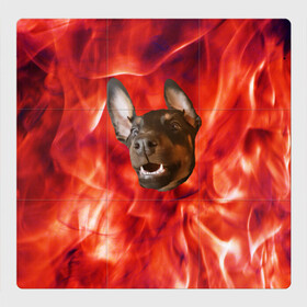 Магнитный плакат 3Х3 с принтом Огненый Пес в Петрозаводске, Полимерный материал с магнитным слоем | 9 деталей размером 9*9 см | голова | горячий | горящий | доберман | животное | зверек | зверь | зубы | клык | красный | лицо | овчарка | огонь | пес | пламя | рот | ротвейлер | свет | собака | удивленный | улыбка | щенок