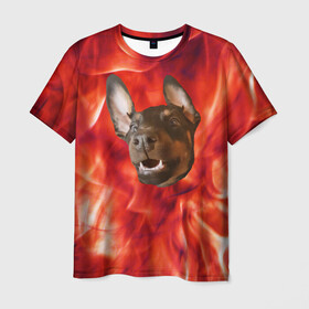 Мужская футболка 3D с принтом Огненый Пес в Петрозаводске, 100% полиэфир | прямой крой, круглый вырез горловины, длина до линии бедер | голова | горячий | горящий | доберман | животное | зверек | зверь | зубы | клык | красный | лицо | овчарка | огонь | пес | пламя | рот | ротвейлер | свет | собака | удивленный | улыбка | щенок