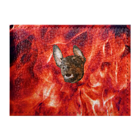 Обложка для студенческого билета с принтом Огненый Пес в Петрозаводске, натуральная кожа | Размер: 11*8 см; Печать на всей внешней стороне | Тематика изображения на принте: голова | горячий | горящий | доберман | животное | зверек | зверь | зубы | клык | красный | лицо | овчарка | огонь | пес | пламя | рот | ротвейлер | свет | собака | удивленный | улыбка | щенок
