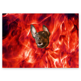 Поздравительная открытка с принтом Огненый Пес в Петрозаводске, 100% бумага | плотность бумаги 280 г/м2, матовая, на обратной стороне линовка и место для марки
 | голова | горячий | горящий | доберман | животное | зверек | зверь | зубы | клык | красный | лицо | овчарка | огонь | пес | пламя | рот | ротвейлер | свет | собака | удивленный | улыбка | щенок