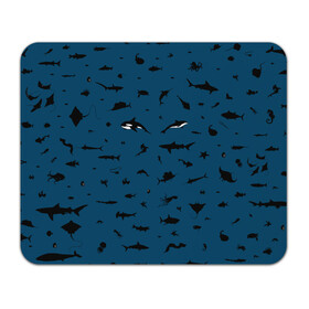 Коврик для мышки прямоугольный с принтом Fish в Петрозаводске, натуральный каучук | размер 230 х 185 мм; запечатка лицевой стороны | dolphin | fish | killer whale | see life | shark | акула | дельфин | касатка | морские обитатели | рыба