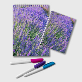 Блокнот с принтом Lavender field в Петрозаводске, 100% бумага | 48 листов, плотность листов — 60 г/м2, плотность картонной обложки — 250 г/м2. Листы скреплены удобной пружинной спиралью. Цвет линий — светло-серый
 | field | green | lavender | nature | summer | violet | бутон | клумба. | лаванда | лето | лиловый | поле | сиреневый | фиолетовый | цветение | цветок | цветы
