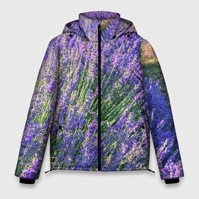 Мужская зимняя куртка 3D с принтом Lavender field в Петрозаводске, верх — 100% полиэстер; подкладка — 100% полиэстер; утеплитель — 100% полиэстер | длина ниже бедра, свободный силуэт Оверсайз. Есть воротник-стойка, отстегивающийся капюшон и ветрозащитная планка. 

Боковые карманы с листочкой на кнопках и внутренний карман на молнии. | field | green | lavender | nature | summer | violet | бутон | клумба. | лаванда | лето | лиловый | поле | сиреневый | фиолетовый | цветение | цветок | цветы