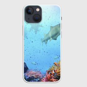 Чехол для iPhone 13 mini с принтом акулы в Петрозаводске,  |  | аквариум | акула | море | морской житель | океан