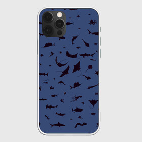 Чехол для iPhone 12 Pro с принтом Manta в Петрозаводске, силикон | область печати: задняя сторона чехла, без боковых панелей | dolphin | fish | killer whale | manta | see life | shark | акула | дельфин | касатка | морские обитатели | рыба