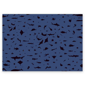 Поздравительная открытка с принтом Manta в Петрозаводске, 100% бумага | плотность бумаги 280 г/м2, матовая, на обратной стороне линовка и место для марки
 | Тематика изображения на принте: dolphin | fish | killer whale | manta | see life | shark | акула | дельфин | касатка | морские обитатели | рыба