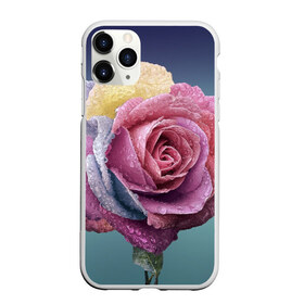 Чехол для iPhone 11 Pro Max матовый с принтом Роза в Петрозаводске, Силикон |  | природа | разноцветная | разноцветные | растение | растения | роза | розочка | розочки | розы | цветная | цветные | цветок | цветы