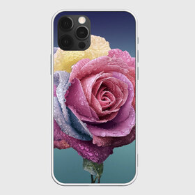 Чехол для iPhone 12 Pro Max с принтом Роза в Петрозаводске, Силикон |  | Тематика изображения на принте: природа | разноцветная | разноцветные | растение | растения | роза | розочка | розочки | розы | цветная | цветные | цветок | цветы