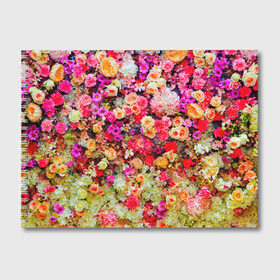 Альбом для рисования с принтом Цветы в Петрозаводске, 100% бумага
 | матовая бумага, плотность 200 мг. | Тематика изображения на принте: весна | красивые цветы | красота | милые цветы | орхидея | пион | роза | розы | ромашка | сад | сирень | фиалка | цветок | цветочки | цветы
