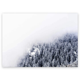 Поздравительная открытка с принтом зимний лес в Петрозаводске, 100% бумага | плотность бумаги 280 г/м2, матовая, на обратной стороне линовка и место для марки
 | зима | зимний лес | лес | снег | сосны