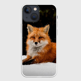 Чехол для iPhone 13 mini с принтом Лиса и снег в Петрозаводске,  |  | fox | foxy | животные | звери | зима | зимняя | лиса | лисичка | лисы | природа | снег | снежная