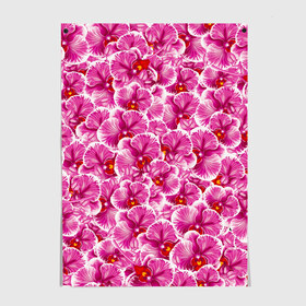 Постер с принтом Розовые орхидеи в Петрозаводске, 100% бумага
 | бумага, плотность 150 мг. Матовая, но за счет высокого коэффициента гладкости имеет небольшой блеск и дает на свету блики, но в отличии от глянцевой бумаги не покрыта лаком | fashion flowers | pink | tropical | азия | бабочки | бразилия | букет | бутоны | джунгли | лепестки | лето | любимая | марта | нежные | орхидея | подарок | природа | растения | тропики | тропические | узор | цветение
