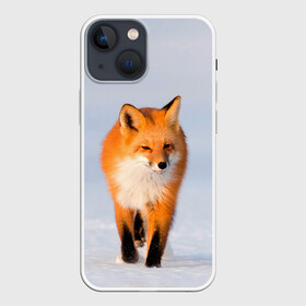 Чехол для iPhone 13 mini с принтом FOX AND SNOW в Петрозаводске,  |  | fox | foxy | животные | звери | зима | зимняя | лиса | лисичка | лисы | природа | снег | снежная