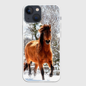 Чехол для iPhone 13 mini с принтом Конь и снег в Петрозаводске,  |  | животные | звери | зима | кони | конь | коняшка | лошади | лошадка | лошадь | пони | природа | снег