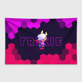 Флаг-баннер с принтом BRAWL STARS TRIXIE COLETTE в Петрозаводске, 100% полиэстер | размер 67 х 109 см, плотность ткани — 95 г/м2; по краям флага есть четыре люверса для крепления | brawl | colete | colette | collete | logo | stars | trixi | trixie | бравл | бравла | браво | игра | игры | колетт | колетта | коллет | коллета | лого | логотип | символ | старс | старса | трикси