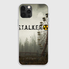 Чехол для iPhone 12 Pro Max с принтом STALKER 2 в Петрозаводске, Силикон |  | gsc game world | s.t.a.l.k.e.r. | stalker | stalker 2 | постапокалиптический шутер | сталкер | сталкер 2 | шутер