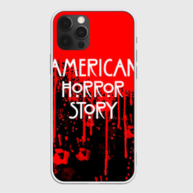 Чехол для iPhone 12 Pro Max с принтом American Horror Story в Петрозаводске, Силикон |  | american horror story | netflix | американ хоррор стори | американская история ужасов | драма | загадочные события | кино | мини сериал | нетфликс | очень странные дела | сериалы | триллер | ужасы | фантастика