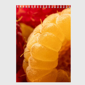 Скетчбук с принтом Малина в Петрозаводске, 100% бумага
 | 48 листов, плотность листов — 100 г/м2, плотность картонной обложки — 250 г/м2. Листы скреплены сверху удобной пружинной спиралью | Тематика изображения на принте: еда | жёлтая | жёлтые | красная | красные | малина | малинка | природа | растение | растения | ягода | ягодки | ягоды