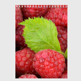 Скетчбук с принтом Малина в Петрозаводске, 100% бумага
 | 48 листов, плотность листов — 100 г/м2, плотность картонной обложки — 250 г/м2. Листы скреплены сверху удобной пружинной спиралью | Тематика изображения на принте: еда | красная | красные | лист | листок | листочек | листья | малина | малинка | природа | растение | растения | ягода | ягодка | ягодки | ягоды