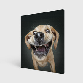 Холст квадратный с принтом Улыбающаяся Собака в Петрозаводске, 100% ПВХ |  | dog | зубы | лапы | мем | пес | прикол | слюни | смешные животные | собака | собачка | улыбающаяся собака | улыбка | щенок | юмор | язык