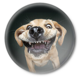 Значок с принтом Улыбающаяся Собака в Петрозаводске,  металл | круглая форма, металлическая застежка в виде булавки | dog | зубы | лапы | мем | пес | прикол | слюни | смешные животные | собака | собачка | улыбающаяся собака | улыбка | щенок | юмор | язык