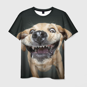 Мужская футболка 3D с принтом Улыбающаяся Собака в Петрозаводске, 100% полиэфир | прямой крой, круглый вырез горловины, длина до линии бедер | dog | зубы | лапы | мем | пес | прикол | слюни | смешные животные | собака | собачка | улыбающаяся собака | улыбка | щенок | юмор | язык