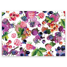 Поздравительная открытка с принтом Ягоды в Петрозаводске, 100% бумага | плотность бумаги 280 г/м2, матовая, на обратной стороне линовка и место для марки
 | арт | зеленый | краска | краски | красный | листок | листья | малина | пятна | пятна краски | растение | рисунок | синий | тёмный | фиолетовый | чёрная малина | черника