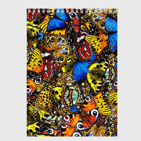 Скетчбук с принтом Ночные Бабочки в Петрозаводске, 100% бумага
 | 48 листов, плотность листов — 100 г/м2, плотность картонной обложки — 250 г/м2. Листы скреплены сверху удобной пружинной спиралью | Тематика изображения на принте: animals | butterfly | pattern | акварель | бабочка | бабочки | животные | крылышки | крылья | насекомые | ночные бабочки | паттерн | рисунок | тропические бабочки | цветные бабочки