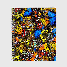 Тетрадь с принтом Ночные Бабочки в Петрозаводске, 100% бумага | 48 листов, плотность листов — 60 г/м2, плотность картонной обложки — 250 г/м2. Листы скреплены сбоку удобной пружинной спиралью. Уголки страниц и обложки скругленные. Цвет линий — светло-серый
 | Тематика изображения на принте: animals | butterfly | pattern | акварель | бабочка | бабочки | животные | крылышки | крылья | насекомые | ночные бабочки | паттерн | рисунок | тропические бабочки | цветные бабочки