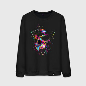 Мужской свитшот хлопок с принтом Skull в Петрозаводске, 100% хлопок |  | bird | blot | color | neon | paint | skull | triangle | клякса | краска | неон | птица | треугольник | цвет | череп