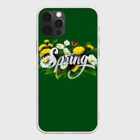 Чехол для iPhone 12 Pro Max с принтом Весна в Петрозаводске, Силикон |  | Тематика изображения на принте: весна | одуванчики | полевые цветы. | ромашки | цветы