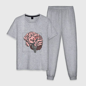 Мужская пижама хлопок с принтом Мозг в Петрозаводске, 100% хлопок | брюки и футболка прямого кроя, без карманов, на брюках мягкая резинка на поясе и по низу штанин
 | анатомия | мозг | мысли | рамка | ум | цвет