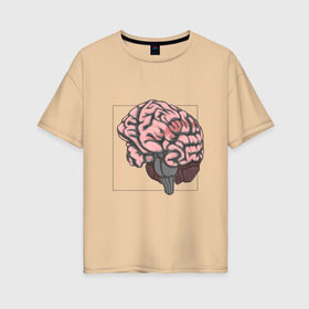 Женская футболка хлопок Oversize с принтом Мозг в Петрозаводске, 100% хлопок | свободный крой, круглый ворот, спущенный рукав, длина до линии бедер
 | анатомия | мозг | мысли | рамка | ум | цвет