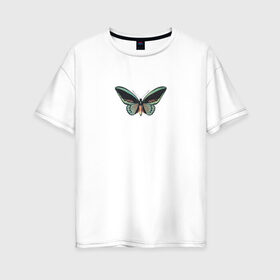 Женская футболка хлопок Oversize с принтом Бабочка в Петрозаводске, 100% хлопок | свободный крой, круглый ворот, спущенный рукав, длина до линии бедер
 | бабочка | зеленая бабочка | насекомое