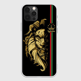 Чехол для iPhone 12 Pro Max с принтом Таджикистан в Петрозаводске, Силикон |  | crown | evil | golden | islam | lion | republic | stars | tajikistan | звезды | злой | золотой | ислам | корона | лев | республика | таджикистан