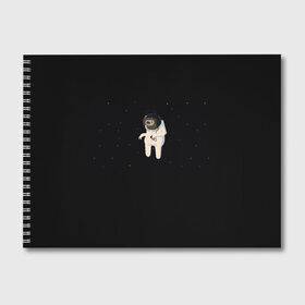 Альбом для рисования с принтом Космический ленивец в Петрозаводске, 100% бумага
 | матовая бумага, плотность 200 мг. | животные | звезды | космос | ленивец | музыка | одиночество | умиротворение