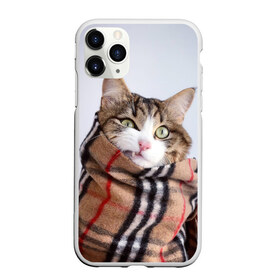 Чехол для iPhone 11 Pro Max матовый с принтом Кот в шарфе в Петрозаводске, Силикон |  | cat | животные | звири | кис | киска | кот | котейка | котик | коты | котяра | кошка | кошки | природа
