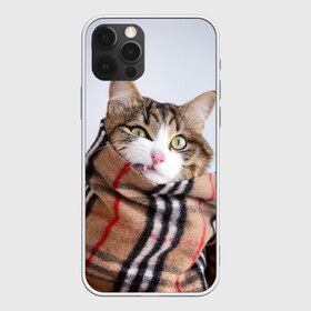 Чехол для iPhone 12 Pro Max с принтом Кот в шарфе в Петрозаводске, Силикон |  | cat | животные | звири | кис | киска | кот | котейка | котик | коты | котяра | кошка | кошки | природа