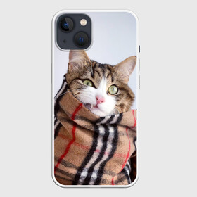 Чехол для iPhone 13 с принтом Кот в шарфе в Петрозаводске,  |  | cat | животные | звири | кис | киска | кот | котейка | котик | коты | котяра | кошка | кошки | природа