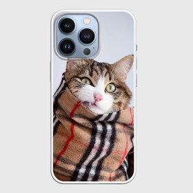 Чехол для iPhone 13 Pro с принтом Кот в шарфе в Петрозаводске,  |  | Тематика изображения на принте: cat | животные | звири | кис | киска | кот | котейка | котик | коты | котяра | кошка | кошки | природа